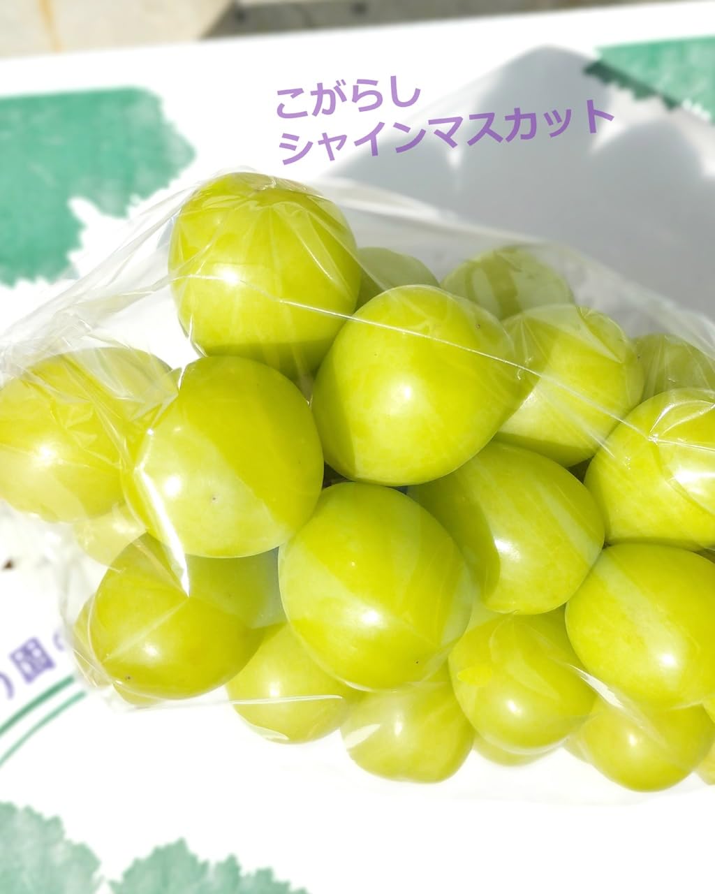 Amazon.co.jp: 山梨県産 こがらしシャインマスカット 1kg箱（1〜2房